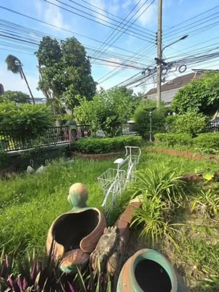 ไม่พบโครงการ, นนทบุรี, แจ้งวัฒนะ, บางตลาด, ปากเกร็ด, นนทบุรี, 200 ตร.ม., บ้านเดี่ยว ให้เช่า, โดย กุลจิรา อภัยโส, 500344645 - DDproperty.com