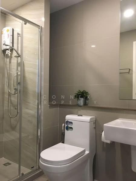 The Tree Sukhumvit 71-Ekamai, Bangkok, 1269 Sukhumvit 71 Road, Suan Luang, Bangkok, 1 Bedroom, 31 sqm, Condo For Rent, by Connex Property, 500344677 - DDproperty.com