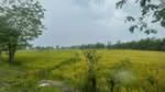 ที่ดินขาณุวรลักษบุรี กำแพงเพชร, กำแพงเพชร