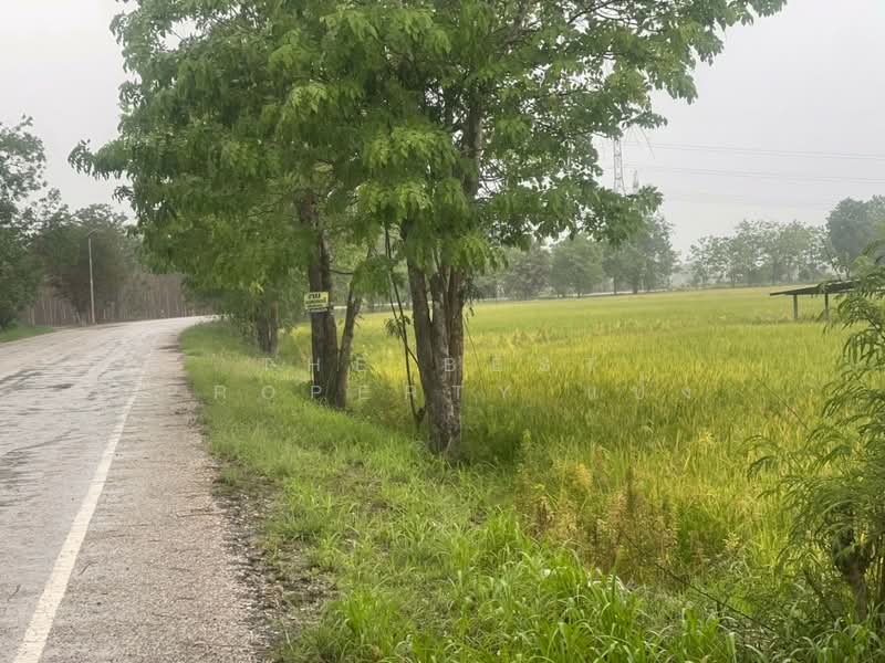 ที่ดินขาณุวรลักษบุรี กำแพงเพชร, กำแพงเพชร, ดอนแตง, ขาณุวรลักษบุรี, กำแพงเพชร, 35,228 ตร.ม., ที่ดิน ขาย, โดย The Best Property แป้ง, 500344822 - DDproperty.com