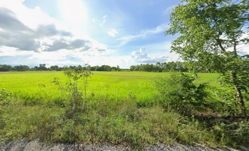 ที่ดินขาณุวรลักษบุรี กำแพงเพชร, Kamphaeng Phet, Don Taeng, Khanu Woralaksaburi, Kamphaeng Phet, , 35,228 sqm, Land For Sale, by The Best Property แป้ง, 500344822 - DDproperty.com