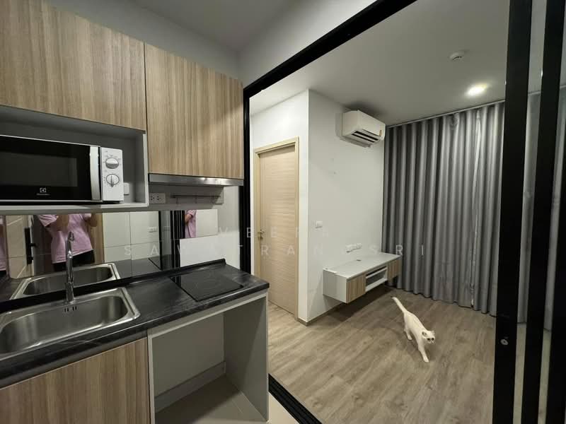 Brixton Pet & Play Sukhumvit 107 : บริกซ์ตัน เพ็ทแอนด์เพลย์ สุขุมวิท 107, สมุทรปราการ, ถนนสุขุมวิท 107, สำโรงเหนือ, เมืองสมุทรปราการ, สมุทรปราการ, 27 ตร.ม., คอนโด ขาย, โดย Veera Sawatrangsri, 500344827 - DDproperty.com