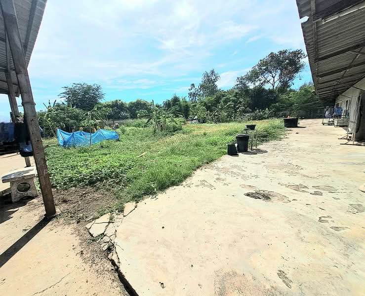 โกดังพร้อมสิ่งปลูกสร้างหนองข้างคอก ชลบุรี, Chon Buri (Pattaya), Nong Khang Khok, Muang Chon Buri, Chon Buri (Pattaya), , 200 sqm, Warehouse/Factory For Sale, by The Best Property Agent เปียนโน, 500344886 - DDproperty.com