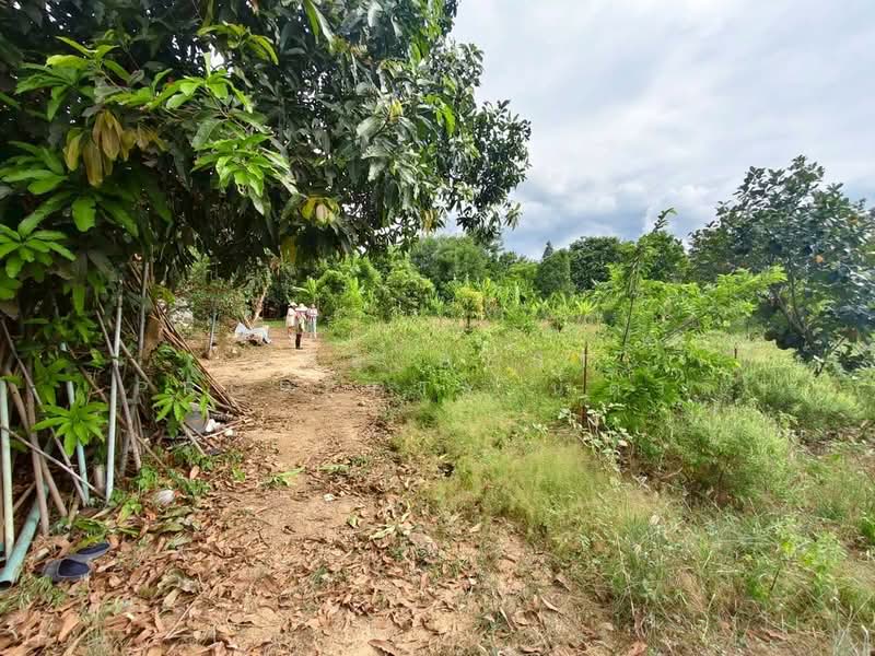 ที่ดินบ้านยาง นครปฐม, นครปฐม, บ้านยาง, เมืองนครปฐม, นครปฐม, 3,200 ตร.ม., ที่ดิน ขาย, โดย The Best Property น้ำตาล, 500345002 - DDproperty.com