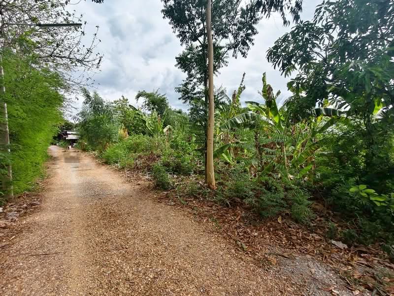 ที่ดินบ้านยาง นครปฐม, Nakhon Pathom, Ban Yang, Muang Nakhon Pathom, Nakhon Pathom, , 3,200 sqm, Land For Sale, by The Best Property น้ำตาล, 500345002 - DDproperty.com