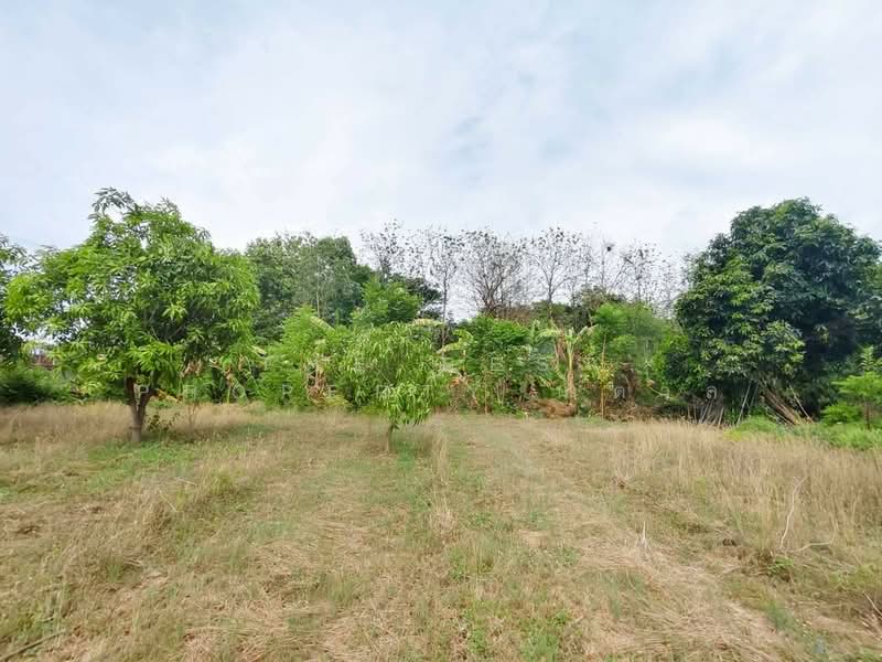 ที่ดินบ้านยาง นครปฐม, Nakhon Pathom, Ban Yang, Muang Nakhon Pathom, Nakhon Pathom, , 3,200 sqm, Land For Sale, by The Best Property น้ำตาล, 500345002 - DDproperty.com
