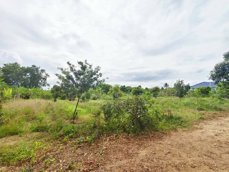 ที่ดินบ้านยาง นครปฐม, Nakhon Pathom, Ban Yang, Muang Nakhon Pathom, Nakhon Pathom, , 3,200 sqm, Land For Sale, by The Best Property น้ำตาล, 500345002 - DDproperty.com