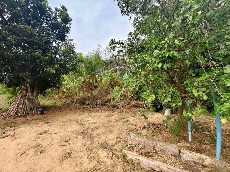 ที่ดินบ้านยาง นครปฐม, Nakhon Pathom, Ban Yang, Muang Nakhon Pathom, Nakhon Pathom, , 3,200 sqm, Land For Sale, by The Best Property น้ำตาล, 500345002 - DDproperty.com