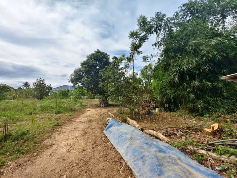 ที่ดินบ้านยาง นครปฐม, Nakhon Pathom, Ban Yang, Muang Nakhon Pathom, Nakhon Pathom, , 3,200 sqm, Land For Sale, by The Best Property น้ำตาล, 500345002 - DDproperty.com