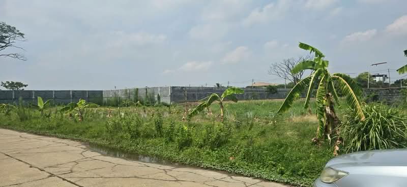 Land for sale, Nonthaburi, Tha It, Pak Kret, Nonthaburi, , 304 sqm, Land For Sale, by วรพล วิแหลม, 500345043 - DDproperty.com