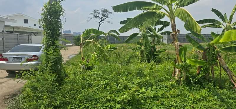 Land for sale, Nonthaburi, Tha It, Pak Kret, Nonthaburi, , 304 sqm, Land For Sale, by วรพล วิแหลม, 500345043 - DDproperty.com