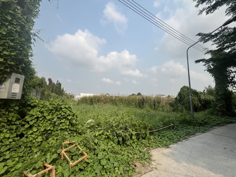 เพชรเกษม 118 แยก 11, สมุทรสาคร, อ้อมน้อย, กระทุ่มแบน, สมุทรสาคร, 3,088 ตร.ม., ที่ดิน ขาย, โดย กาญมณี วรรณอติชาติ (หมูหวาน), 500345139 - DDproperty.com