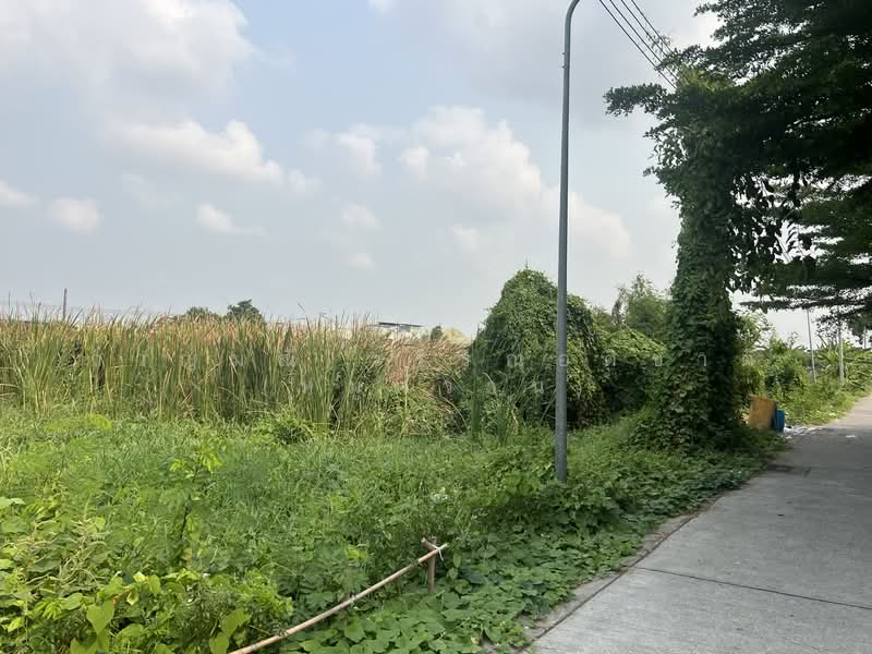 เพชรเกษม 118 แยก 11, สมุทรสาคร, อ้อมน้อย, กระทุ่มแบน, สมุทรสาคร, 3,088 ตร.ม., ที่ดิน ขาย, โดย กาญมณี วรรณอติชาติ (หมูหวาน), 500345139 - DDproperty.com