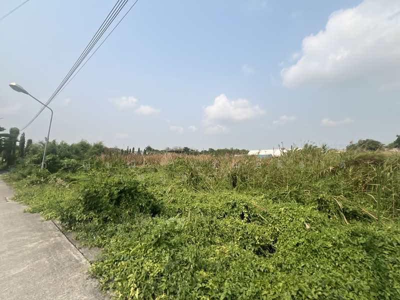 เพชรเกษม 118 แยก 11, สมุทรสาคร, อ้อมน้อย, กระทุ่มแบน, สมุทรสาคร, 3,088 ตร.ม., ที่ดิน ขาย, โดย กาญมณี วรรณอติชาติ (หมูหวาน), 500345139 - DDproperty.com