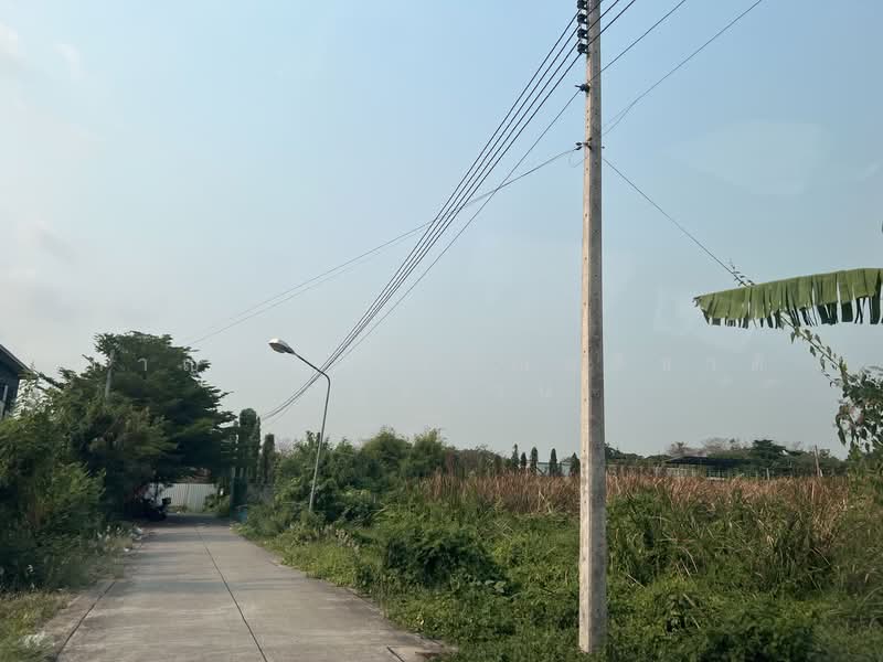 เพชรเกษม 118 แยก 11, สมุทรสาคร, อ้อมน้อย, กระทุ่มแบน, สมุทรสาคร, 3,088 ตร.ม., ที่ดิน ขาย, โดย กาญมณี วรรณอติชาติ (หมูหวาน), 500345139 - DDproperty.com