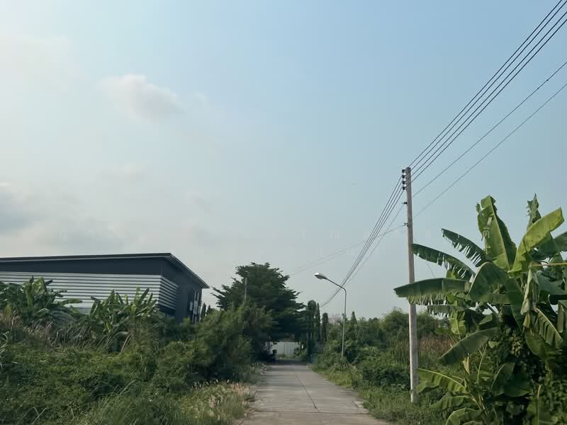 เพชรเกษม 118 แยก 11, สมุทรสาคร, อ้อมน้อย, กระทุ่มแบน, สมุทรสาคร, 3,088 ตร.ม., ที่ดิน ขาย, โดย กาญมณี วรรณอติชาติ (หมูหวาน), 500345139 - DDproperty.com