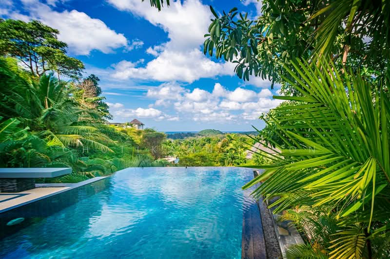 Luxury Ocean View Villa for Sale – Layan, ภูเก็ต, เชิงทะเล, ถลาง, ภูเก็ต, 800 ตร.ม., วิลล่า ขาย, โดย Chutikarn In-On, 500345178 - DDproperty.com
