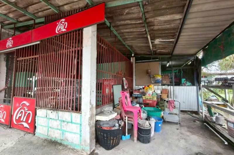 ติดถนนไสวประชาราษฎร์ คลอง4, Pathum Thani, Lat Sawai, Lam Luk Ka, Pathum Thani, , 410 sqm, Retail Space For Rent, by ชนะชาติ นนท์ตา, 500345195 - DDproperty.com