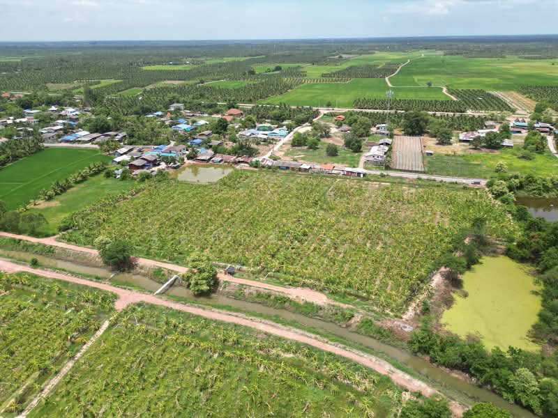 บ่อกระดาน, Ratchaburi, ท้าวอู่ทอง, Bo Kradan, Pak Tho, Ratchaburi, , 24,260 sqm, Land For Sale, by TITISAK Jane, 500345207 - DDproperty.com