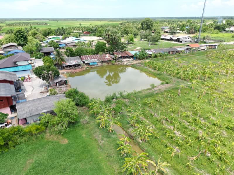 บ่อกระดาน, Ratchaburi, ท้าวอู่ทอง, Bo Kradan, Pak Tho, Ratchaburi, , 24,260 sqm, Land For Sale, by TITISAK Jane, 500345207 - DDproperty.com