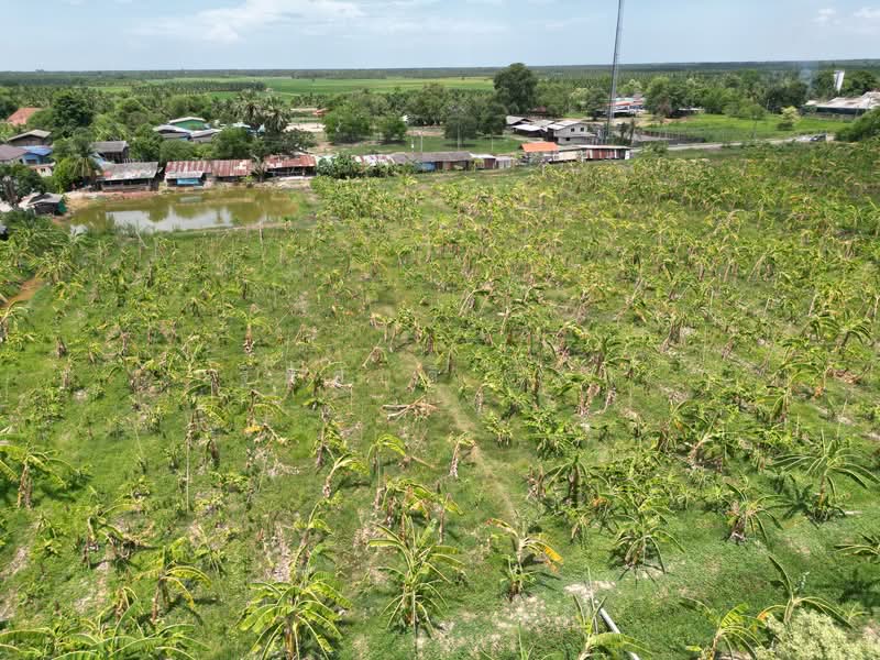 บ่อกระดาน, ราชบุรี, ท้าวอู่ทอง, บ่อกระดาน, ปากท่อ, ราชบุรี, 24,260 ตร.ม., ที่ดิน ขาย, โดย ฐิติศักดิ์ เจน, 500345207 - DDproperty.com