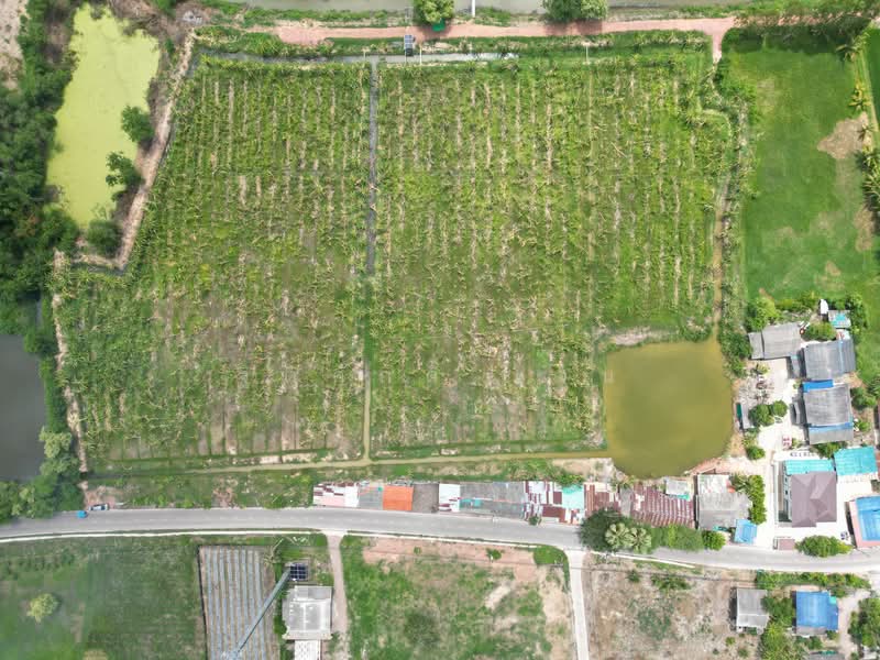 บ่อกระดาน, Ratchaburi, ท้าวอู่ทอง, Bo Kradan, Pak Tho, Ratchaburi, , 24,260 sqm, Land For Sale, by TITISAK Jane, 500345207 - DDproperty.com