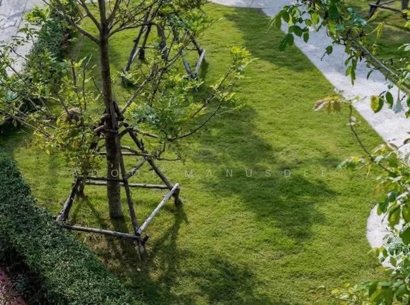 พาร์ควิลล์ หนองจอก - เลียบวารี 21, กรุงเทพ, เลียบวารี, หนองจอก, หนองจอก, กรุงเทพ, 160 ตร.ม., บ้านแฝด ขาย, โดย Adool Manusdee, 500345218 - DDproperty.com