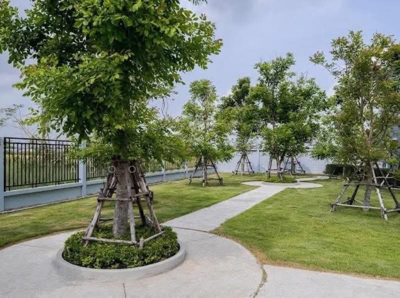 Park View Nong Chok - Liab Wari 21, Bangkok, เลียบวารี, Nong Chok, Nong Chok, Bangkok, 4 Bedrooms, 160 sqm, Semi-Detached House (Twin House) For Sale, by Adool Manusdee, 500345218 - DDproperty.com