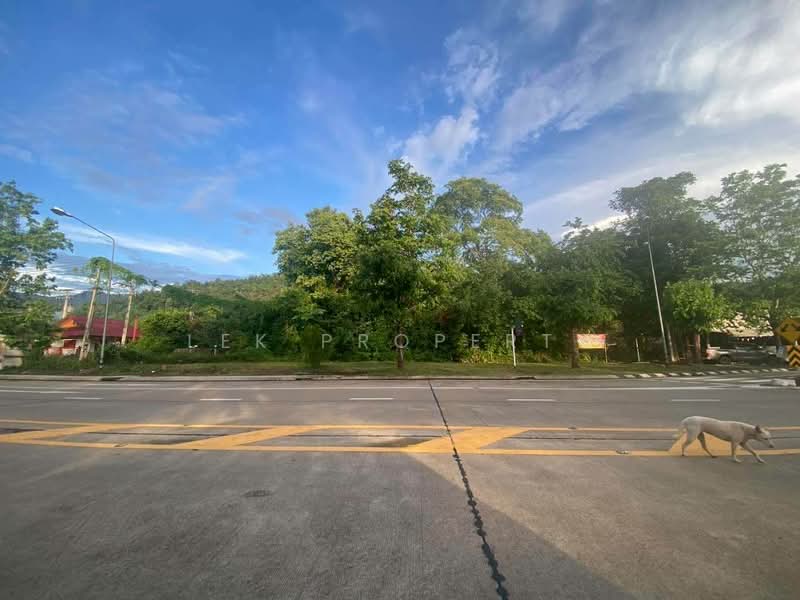 ขายที่ดินทำเลทอง แม่ฮ่องสอน ติดถนน ใหญ่ โฉนดครุฑแดง น.ส 4 จ. 150 ตร.วา, Mae Hong Son, Chong Kham, Muang Mae Hong Son, Mae Hong Son, , 600 sqm, Land For Sale, by Lek Property, 500345253 - DDproperty.com