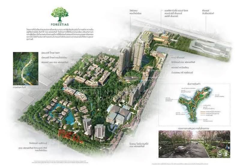 Whizdom The Forestias, Samut Prakan, Debaratana Road, Bang Kaeo, Bang Plee, Samut Prakan, 1 Bedroom, 42 sqm, Condo For Rent, by Wanphen Khemprasit, 500345255 - DDproperty.com