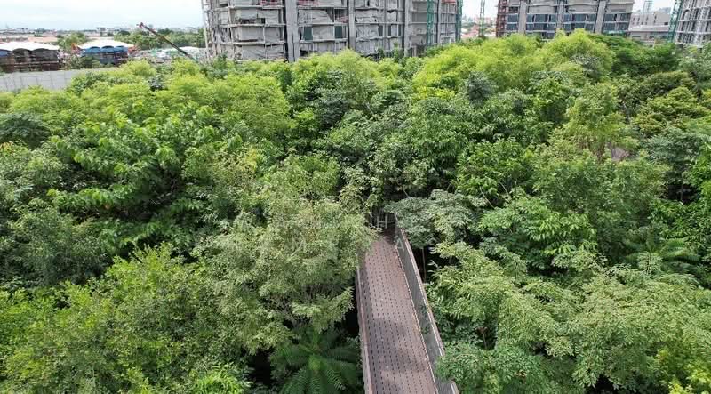 Whizdom The Forestias, Samut Prakan, Debaratana Road, Bang Kaeo, Bang Plee, Samut Prakan, 1 Bedroom, 42 sqm, Condo For Rent, by Wanphen Khemprasit, 500345255 - DDproperty.com