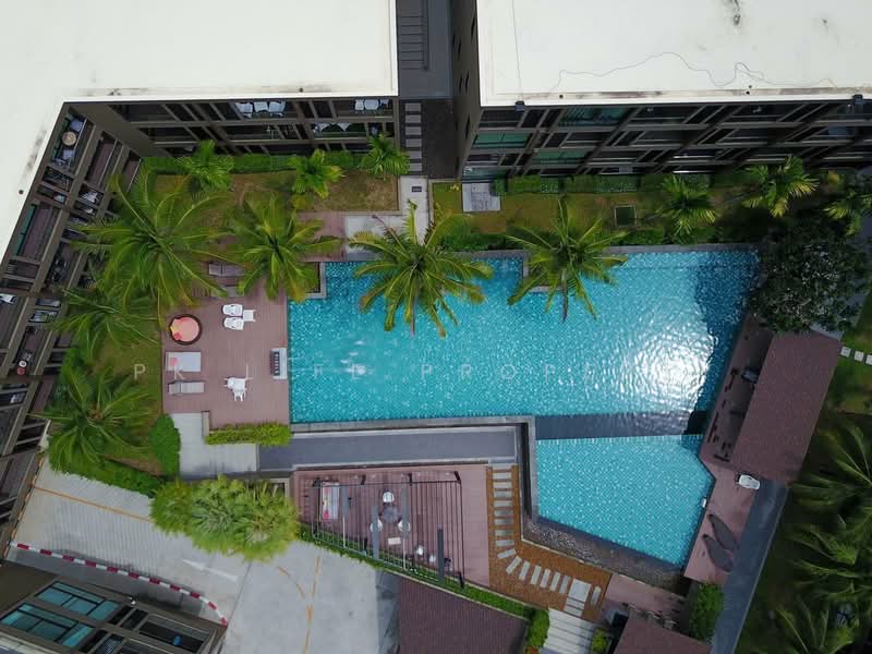 The Pixels Cape Panwa, Phuket, 89 Moo 8, Wichit, Muang Phuket, Phuket, 1 Bedroom, 35 sqm, Condo For Rent, by PK LIFE Property, 500345281 - DDproperty.com