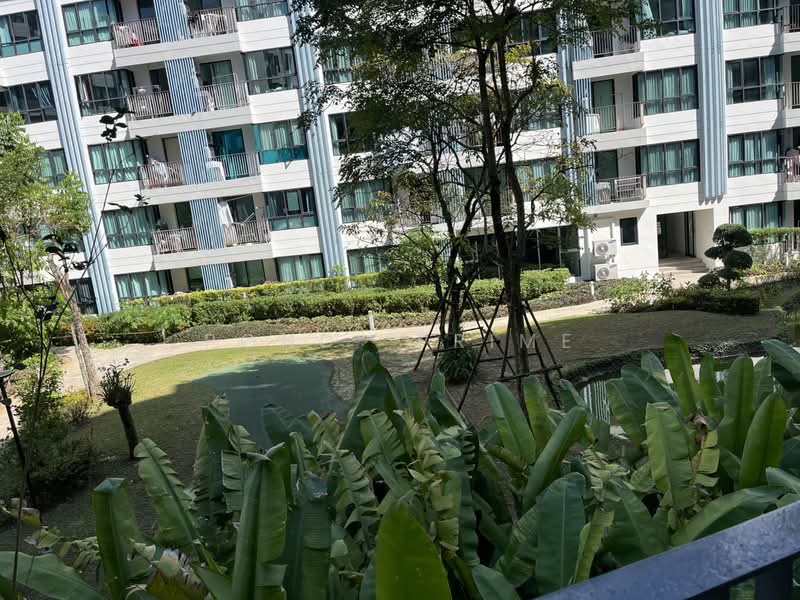 Centrio Condominium, Phuket, Wichit Songkhram, Kathu, Phuket, 2 Bedrooms, 45 sqm, Condo For Rent, by Pond Prime, 500345341 - DDproperty.com