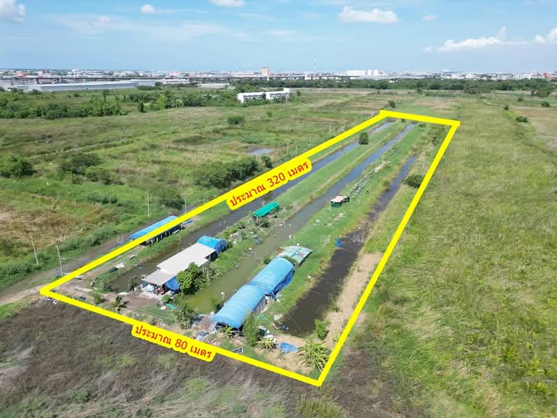 ขายที่ดินทำเลศักยภาพ บางนา-ตราด กม.26 ผังสีส้ม แปลงสวย เหมาะลงทุนและพัฒนาโครงการ, สมุทรปราการ, บางบ่อ, สมุทรปราการ, 25,600 ตร.ม., ที่ดิน ขาย, โดย นายมานพ วุฒฒเจริญ, 500345426 - DDproperty.com