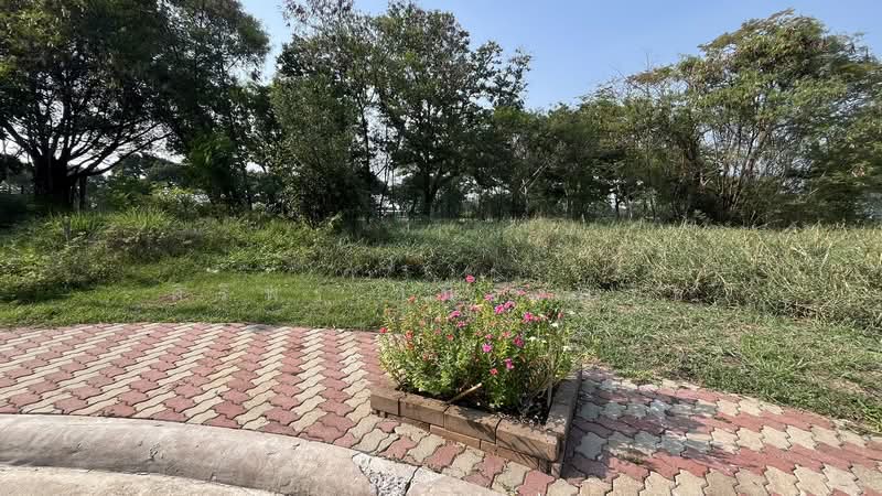 Lakewood Village : หมู่บ้าน เลควูด, สมุทรปราการ, ถนนบางนา-ตราด, บางโฉลง, บางพลี, สมุทรปราการ, 1,208 ตร.ม., ที่ดิน ขาย, โดย ศิริพร เมืองครุธ, 500345434 - DDproperty.com