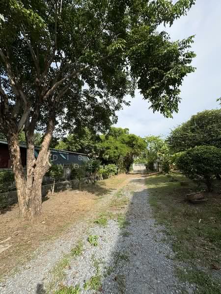 บ้านพร้อมที่ดิน อ.พระประเเดง จ.สมุทรปราการ, Samut Prakan, Bang Krasop, Phra Pra Daeng, Samut Prakan, 1 Bedroom, 1 sqm, Single Detached House For Sale, by Disayarin Worakait, 500345453 - DDproperty.com