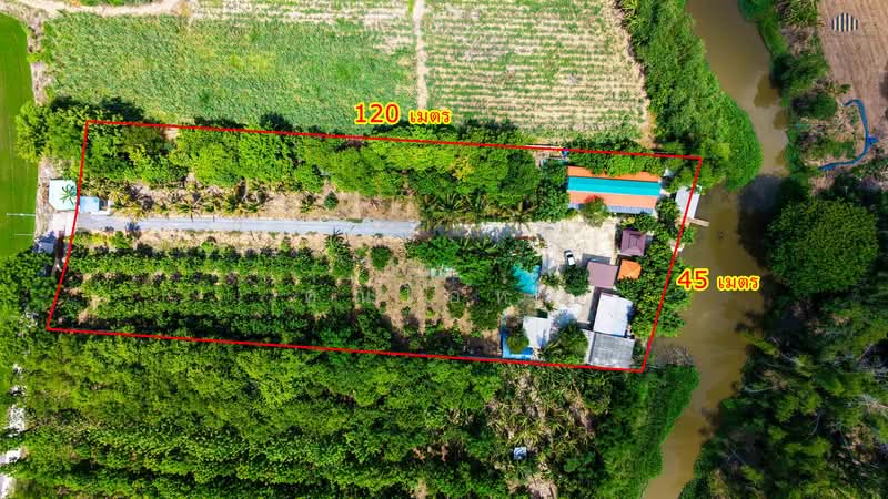 ที่ดินติดน้ำสไตล์รีสอร์ท พร้อมห้องพัก 5 ห้อง บรรยากาศร่มรื่นท่ามกลางสวนผลไม้, สุพรรณบุรี, ยางนอน, เดิมบางนางบวช, สุพรรณบุรี, 5,540 ตร.ม., ที่ดิน ขาย, โดย คุณโอห์ม, 500345477 - DDproperty.com