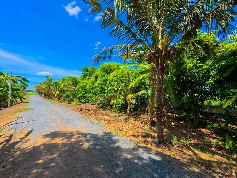 Urgent Sale! Waterfront Resort-Style Land with 5 Guest Rooms, Suphan Buri, Yang Non, Doembang Nangbuat, Suphan Buri, , 5,540 sqm, Land For Sale, by คุณโอห์ม, 500345477 - DDproperty.com