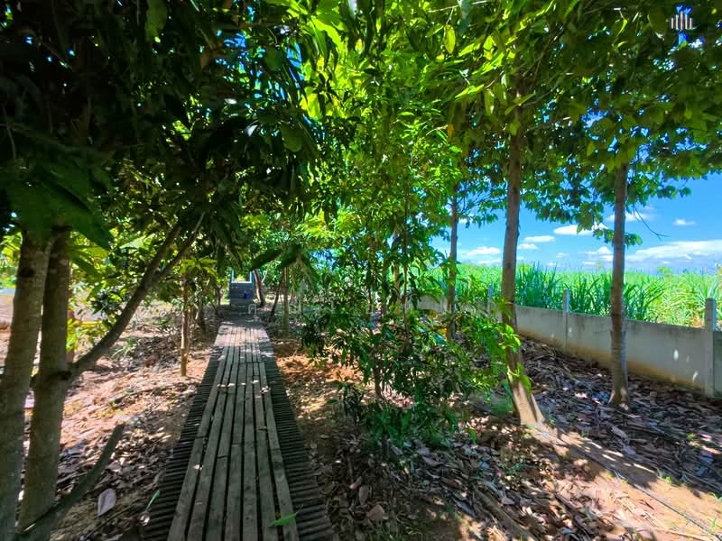 Urgent Sale! Waterfront Resort-Style Land with 5 Guest Rooms, Suphan Buri, Yang Non, Doembang Nangbuat, Suphan Buri, , 5,540 sqm, Land For Sale, by คุณโอห์ม, 500345477 - DDproperty.com