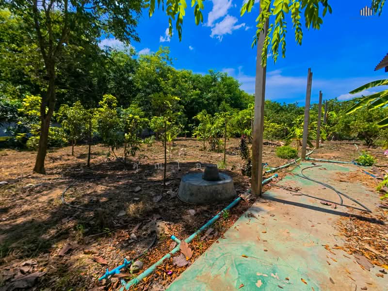 ที่ดินติดน้ำสไตล์รีสอร์ท พร้อมห้องพัก 5 ห้อง บรรยากาศร่มรื่นท่ามกลางสวนผลไม้, สุพรรณบุรี, ยางนอน, เดิมบางนางบวช, สุพรรณบุรี, 5,540 ตร.ม., ที่ดิน ขาย, โดย คุณโอห์ม, 500345477 - DDproperty.com