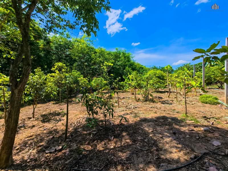 Urgent Sale! Waterfront Resort-Style Land with 5 Guest Rooms, Suphan Buri, Yang Non, Doembang Nangbuat, Suphan Buri, , 5,540 sqm, Land For Sale, by คุณโอห์ม, 500345477 - DDproperty.com