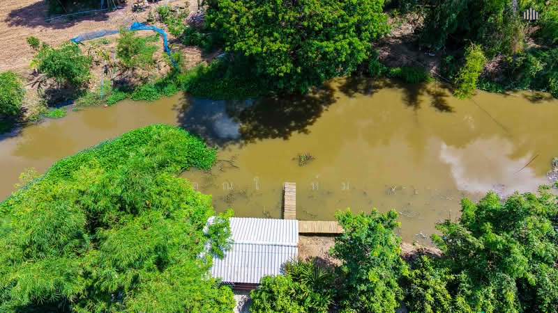 Urgent Sale! Waterfront Resort-Style Land with 5 Guest Rooms, Suphan Buri, Yang Non, Doembang Nangbuat, Suphan Buri, , 5,540 sqm, Land For Sale, by คุณโอห์ม, 500345477 - DDproperty.com