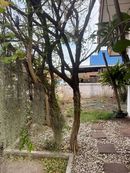 นุชนาถ บ่อวิน, Chon Buri (Pattaya), Bo Win, Si Racha, Chon Buri (Pattaya), 2 Bedrooms, 150 sqm, Single Detached House For Sale, by The Best Property น้ำฝน, 500345540 - DDproperty.com