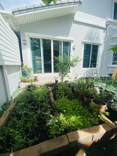 Moobaan Chollada Suvarnabhumi : หมู่บ้านชลลดา สุวรรณภูมิ, สมุทรปราการ, ถนนวัดศรีวารีน้อย, ศีรษะจรเข้น้อย, บางเสาธง, สมุทรปราการ, 180 ตร.ม., บ้านเดี่ยว ขาย, โดย Chisa Suttiworakan, 500345548 - DDproperty.com