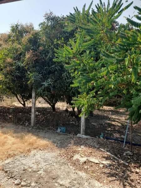 ที่ดินพร้อมสิ่งปลูกสร้างตลิ่งชัน สุพรรณบุรี, Suphan Buri, Talingchan, Muang Suphanburi, Suphan Buri, , 1,836 sqm, Land For Sale, by The Best Property เอก, 500345552 - DDproperty.com