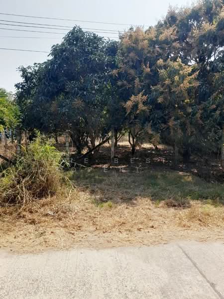 ที่ดินพร้อมสิ่งปลูกสร้างตลิ่งชัน สุพรรณบุรี, Suphan Buri, Talingchan, Muang Suphanburi, Suphan Buri, , 1,836 sqm, Land For Sale, by The Best Property เอก, 500345552 - DDproperty.com