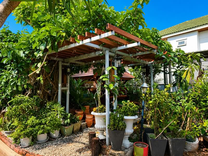 Classis Home Sriracha, Chon Buri (Pattaya), 3241 ศรีราชา หนองค้อ หมู่บ้านคลาสสิคโฮม, Surasak, Si Racha, Chon Buri (Pattaya), 3 Bedrooms, 320 sqm, Single Detached House For Sale, by Pronthip Wattanasatiengul, 500345563 - DDproperty.com