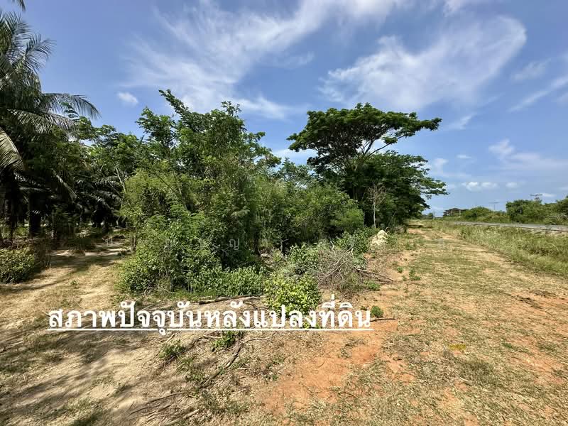 ขายที่ดินเปล่า เนื้อที่ 8-3-37.5 ไร่ ติดถนนเพชรเกษม ขาขึ้น กทม. ตำบลบ่อนอก อำเภอเมืองประจวบคีรีขันธ์, ประจวบคีรีขันธ์, เพชรเกษม, บ่อนอก, เมืองประจวบคีรีขันธ์, ประจวบคีรีขันธ์, 14,148 ตร.ม., ที่ดิน ขาย, โดย ปาณชญา ศรีนวล, 500345569 - DDproperty.com