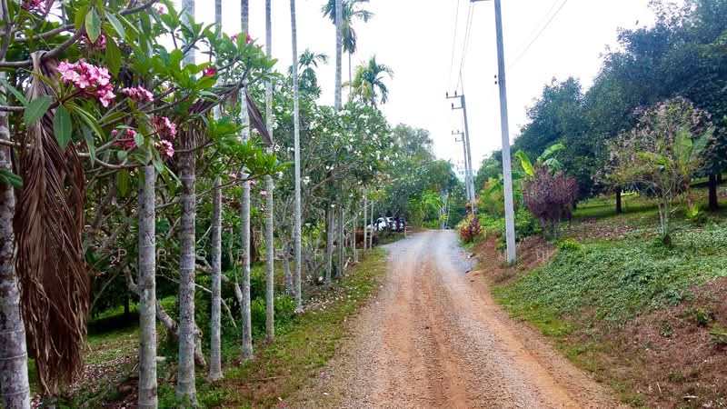 ที่ดินขลุง จันทบุรี, จันทบุรี, ตกพรม, ขลุง, จันทบุรี, 157,848 ตร.ม., ที่ดิน ขาย, โดย The Best Property เมญ่า, 500345595 - DDproperty.com