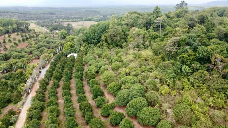 ที่ดินขลุง จันทบุรี, จันทบุรี, ตกพรม, ขลุง, จันทบุรี, 157,848 ตร.ม., ที่ดิน ขาย, โดย The Best Property เมญ่า, 500345595 - DDproperty.com